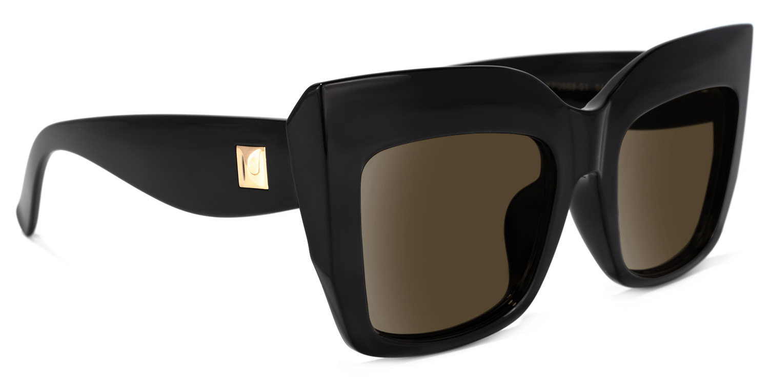Alberta Cat Eye Black Sunglasses2