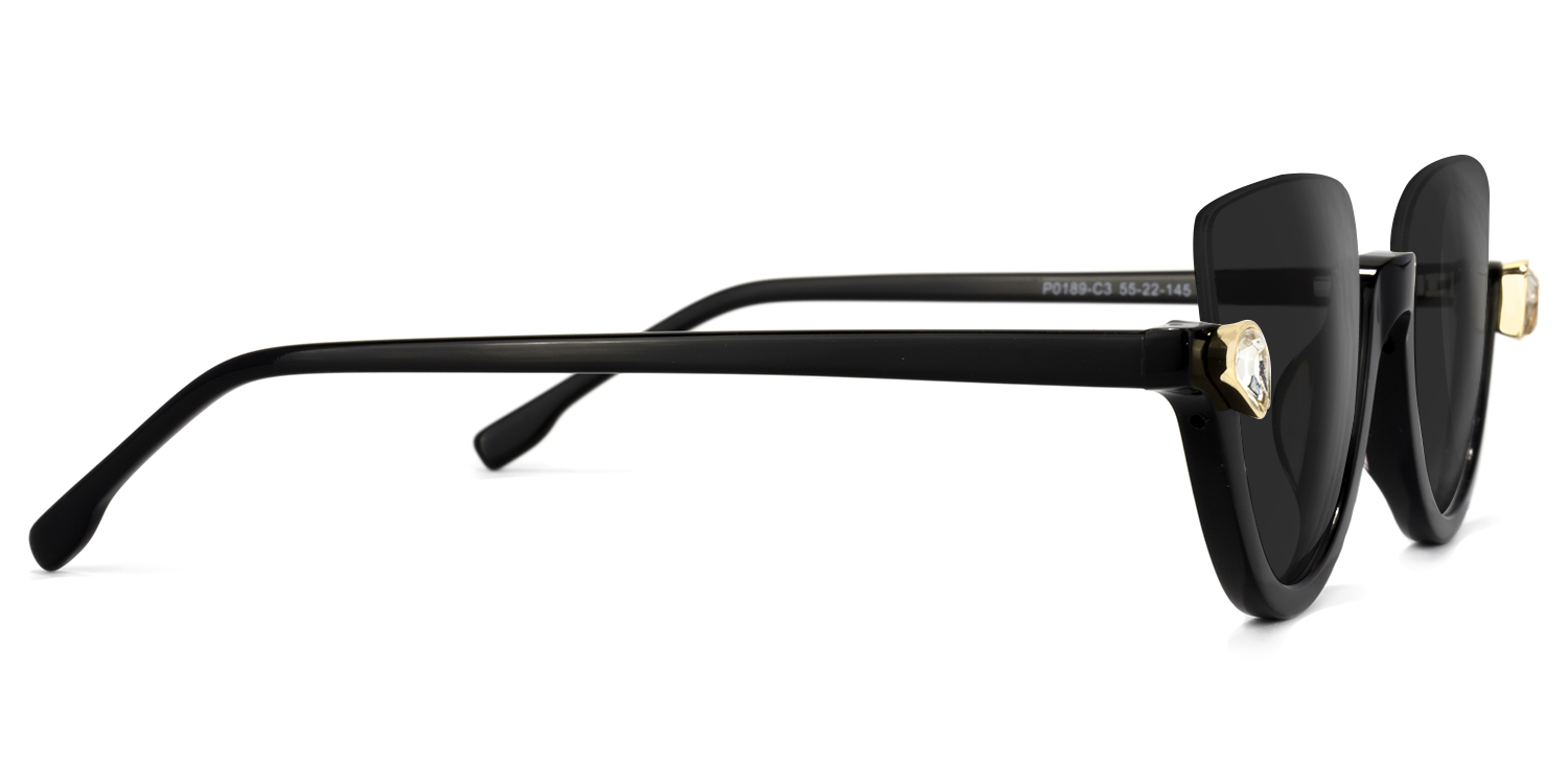Felicia Cat Eye Black Sunglasses 3