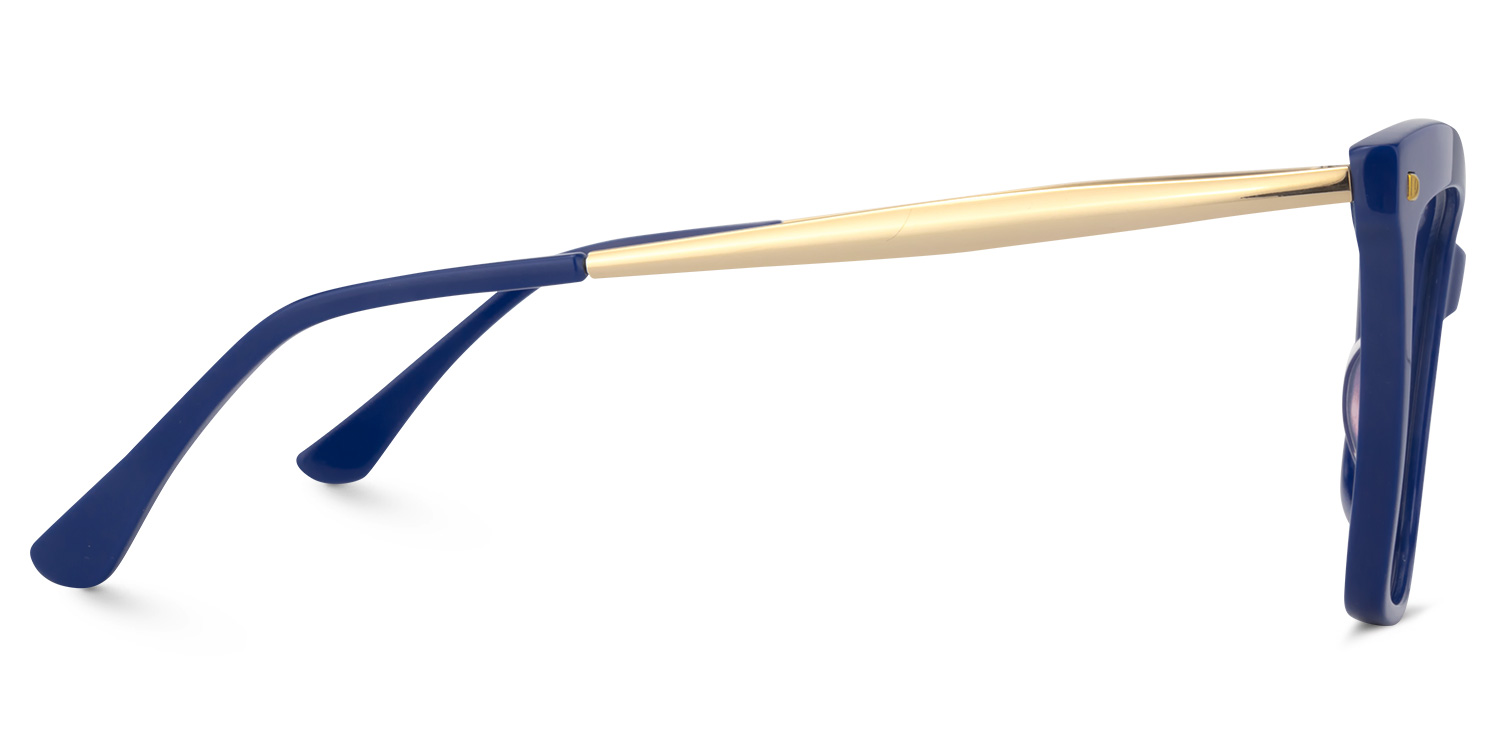 Isaebella Butterfly Blue Glasses3