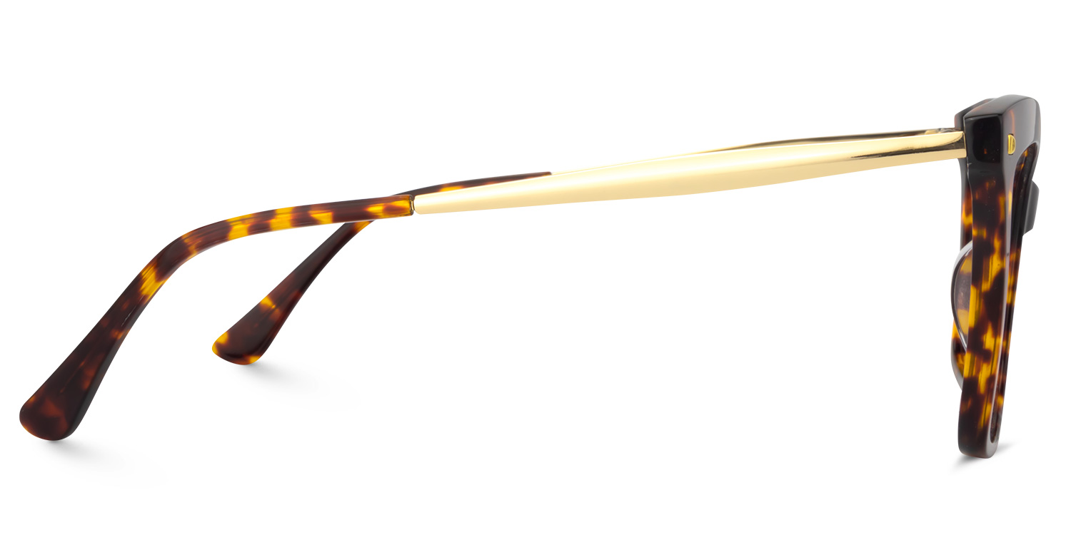 Isaebella Butterfly Tortoise Glasses3